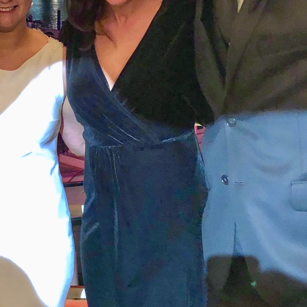 Express Velvet Tulip Dress